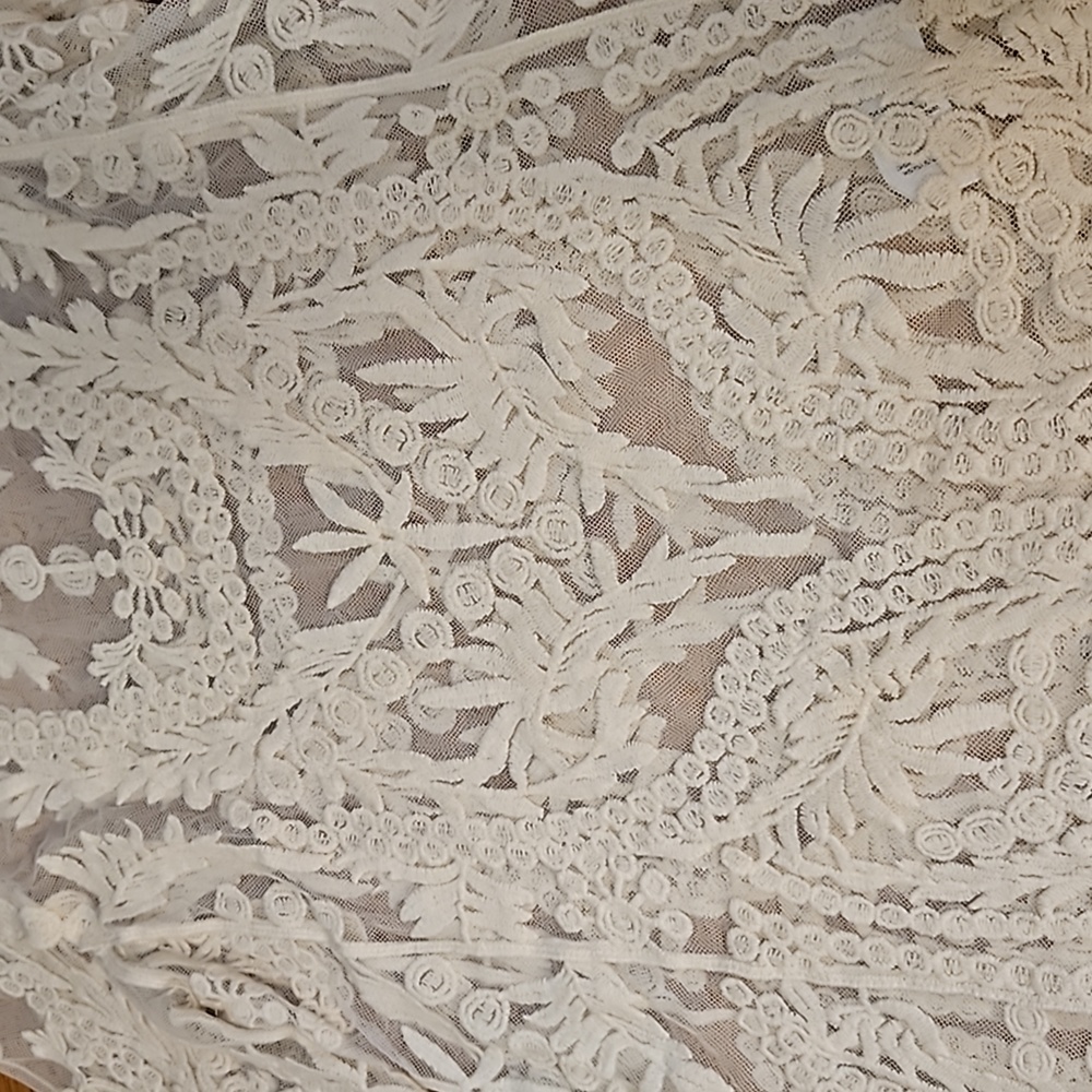 Buffalo David Bitton See Through Crochet Lace Mesh Top - Picture 3 of 12